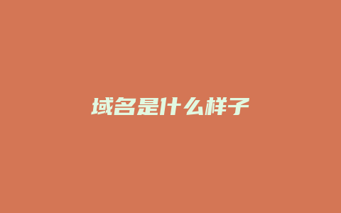 域名是什么样子