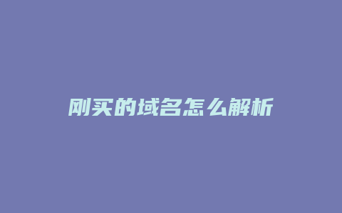 刚买的域名怎么解析