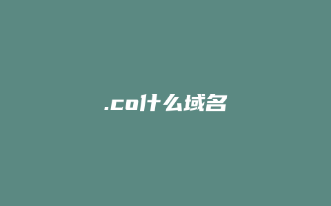 .co什么域名