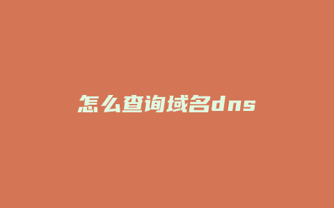 怎么查询域名dns