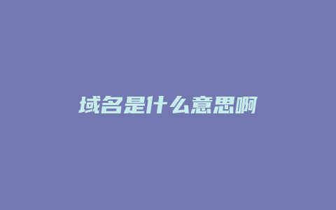 域名是什么意思啊