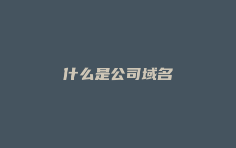 什么是公司域名