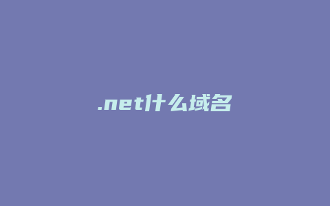 .net什么域名