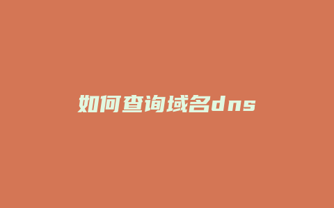 如何查询域名dns