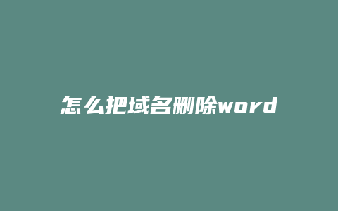 怎么把域名删除word