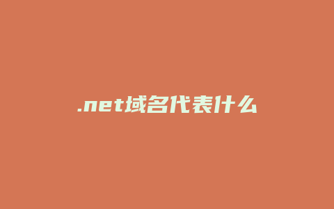 .net域名代表什么
