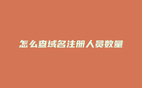 怎么查域名注册人员数量