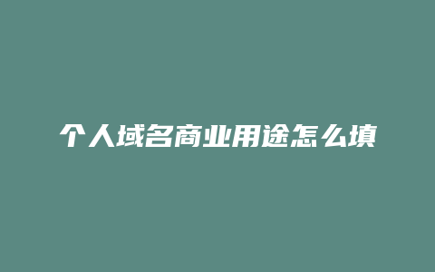 个人域名商业用途怎么填