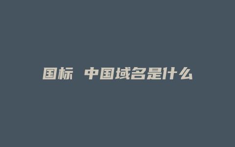 国标 中国域名是什么