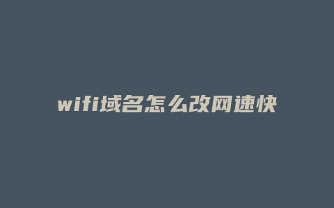 wifi域名怎么改网速快