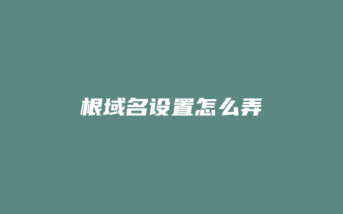 根域名设置怎么弄