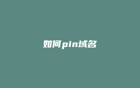 如何pin域名