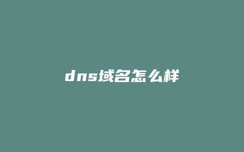 dns域名怎么样