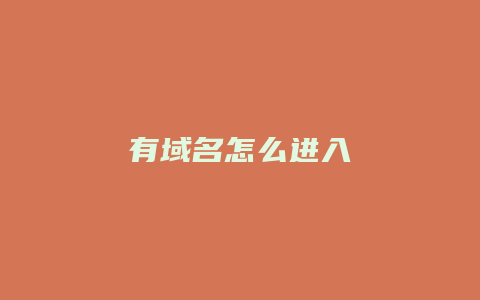 有域名怎么进入