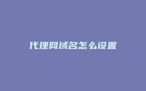 代理网域名怎么设置