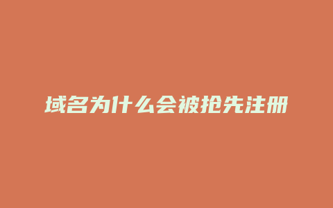 域名为什么会被抢先注册