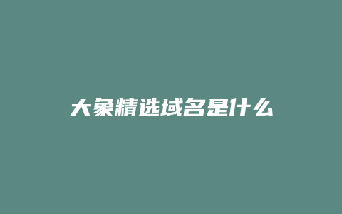 大象精选域名是什么