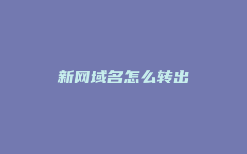 新网域名怎么转出