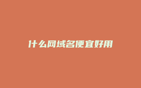 什么网域名便宜好用