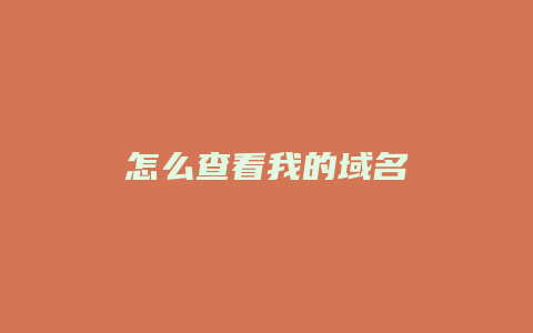 怎么查看我的域名