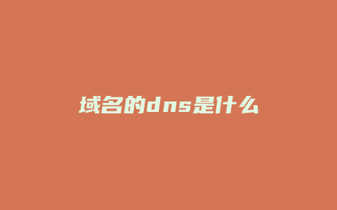 域名的dns是什么