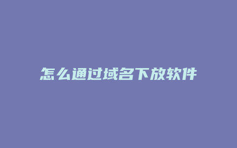 怎么通过域名下放软件