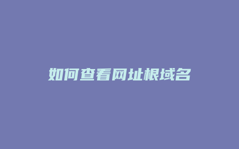 如何查看网址根域名