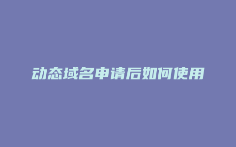 动态域名申请后如何使用