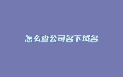 怎么查公司名下域名