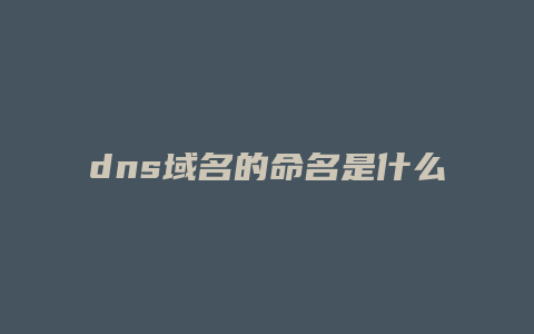 dns域名的命名是什么