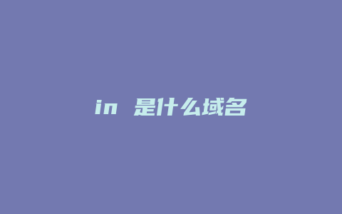 in 是什么域名