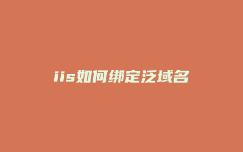 iis如何绑定泛域名