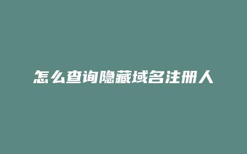 怎么查询隐藏域名注册人