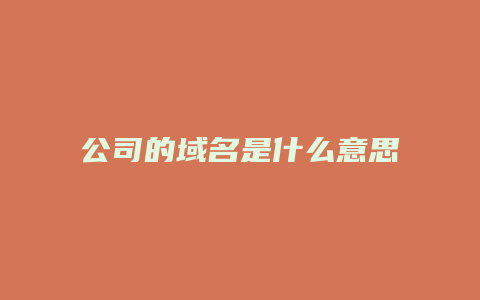 公司的域名是什么意思