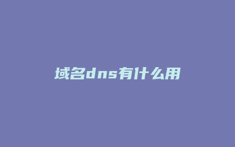 域名dns有什么用