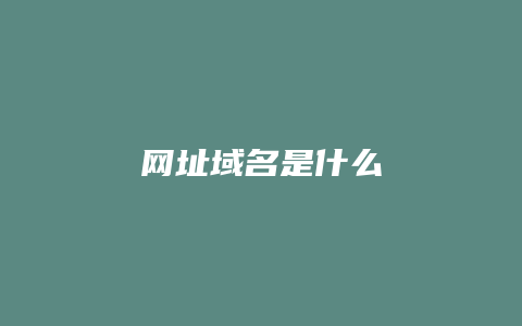 网址域名是什么