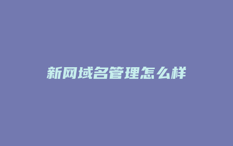 新网域名管理怎么样