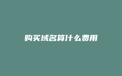 购买域名算什么费用