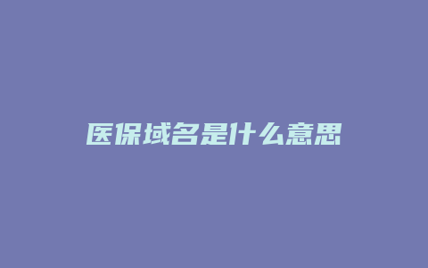 医保域名是什么意思