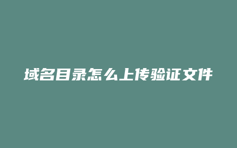 域名目录怎么上传验证文件