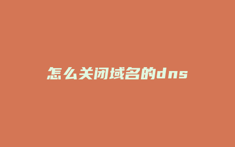 怎么关闭域名的dns